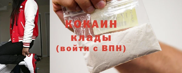 mdpv Богородицк