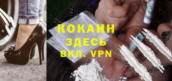 mdpv Богородицк