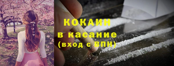 mdpv Богородицк